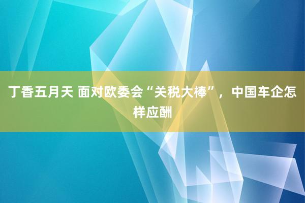 丁香五月天 面对欧委会“关税大棒”，中国车企怎样应酬