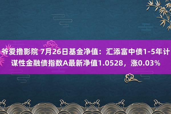 爷爱撸影院 7月26日基金净值：汇添富中债1-5年计谋性金融债指数A最新净值1.0528，涨0.03%