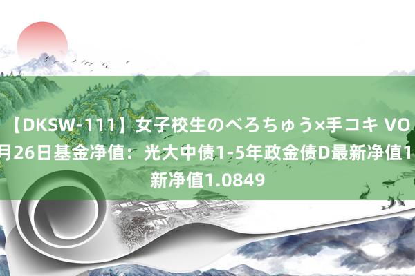 【DKSW-111】女子校生のべろちゅう×手コキ VOL.2 7月26日基金净值：光大中债1-5年政金债D最新净值1.0849