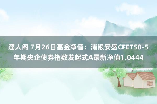 淫人阁 7月26日基金净值：浦银安盛CFETS0-5年期央企债券指数发起式A最新净值1.0444