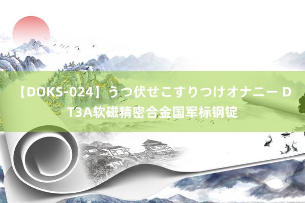 【DOKS-024】うつ伏せこすりつけオナニー DT3A软磁精密合金国军标钢锭