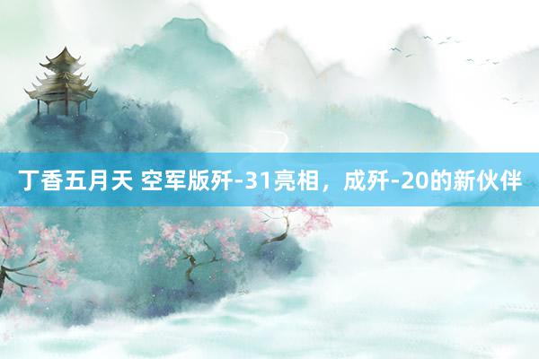 丁香五月天 空军版歼-31亮相，成歼-20的新伙伴