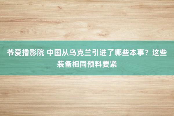 爷爱撸影院 中国从乌克兰引进了哪些本事？这些装备相同预料要紧