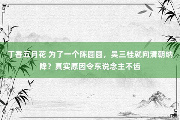 丁香五月花 为了一个陈圆圆，吴三桂就向清朝纳降？真实原因令东说念主不齿