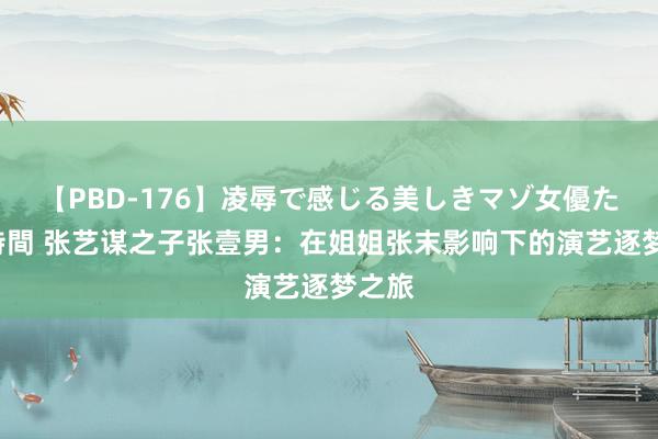 【PBD-176】凌辱で感じる美しきマゾ女優たち8時間 张艺谋之子张壹男：在姐姐张末影响下的演艺逐梦之旅