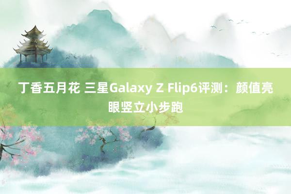 丁香五月花 三星Galaxy Z Flip6评测：颜值亮眼竖立小步跑