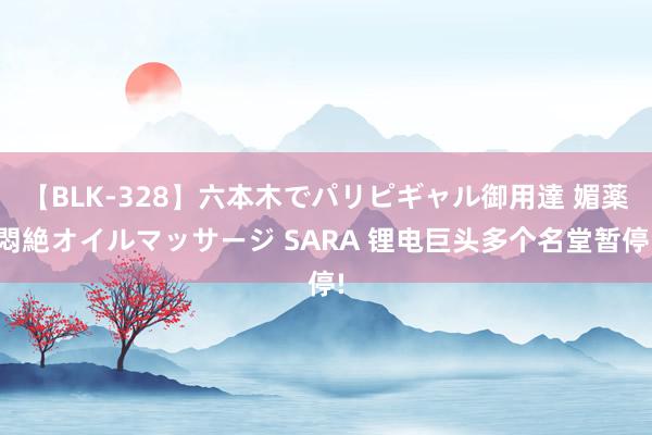 【BLK-328】六本木でパリピギャル御用達 媚薬悶絶オイルマッサージ SARA 锂电巨头多个名堂暂停!