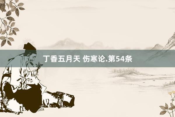 丁香五月天 伤寒论.第54条