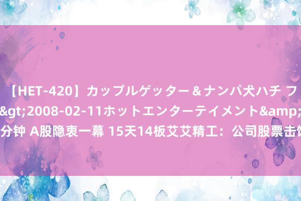 【HET-420】カップルゲッター＆ナンパ犬ハチ ファイト一発</a>2008-02-11ホットエンターテイメント&$向井75分钟 A股隐衷一幕 15天14板艾艾精工：公司股票击饱读传花效应显著  随时有快速着落的可能