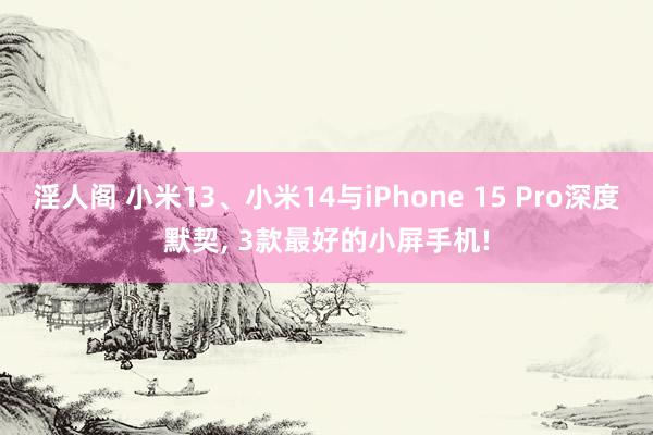 淫人阁 小米13、小米14与iPhone 15 Pro深度默契, 3款最好的小屏手机!