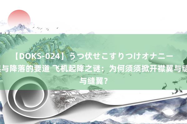 【DOKS-024】うつ伏せこすりつけオナニー 升起与降落的要道 飞机起降之谜：为何须须掀开襟翼与缝翼？