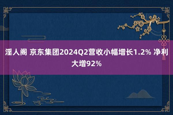 淫人阁 京东集团2024Q2营收小幅增长1.2% 净利大增92%