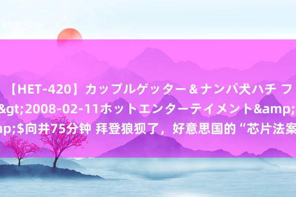 【HET-420】カップルゲッター＆ナンパ犬ハチ ファイト一発</a>2008-02-11ホットエンターテイメント&$向井75分钟 拜登狼狈了，好意思国的“芯片法案”下，40%的格式蔓延或暂停