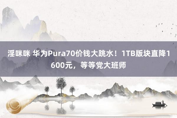 淫咪咪 华为Pura70价钱大跳水！1TB版块直降1600元，等等党大班师