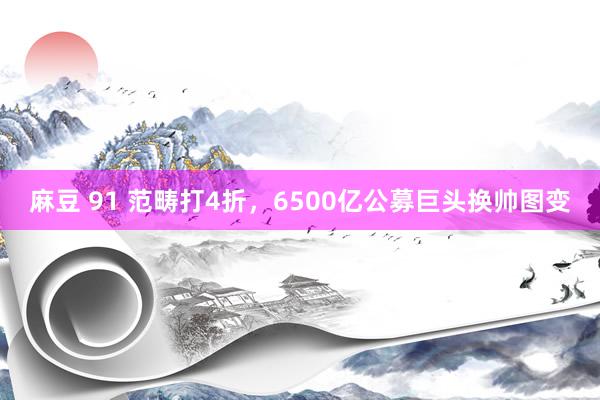 麻豆 91 范畴打4折，6500亿公募巨头换帅图变