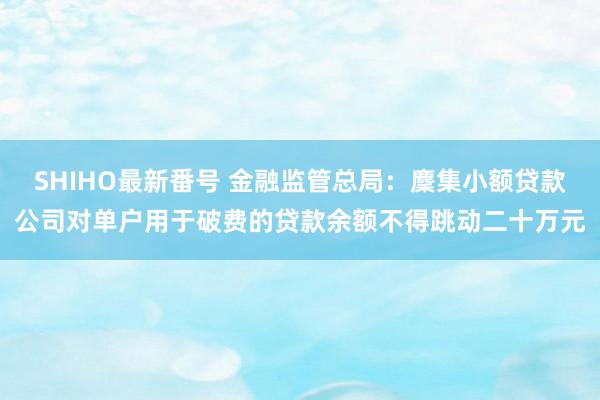 SHIHO最新番号 金融监管总局：麇集小额贷款公司对单户用于破费的贷款余额不得跳动二十万元