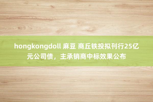 hongkongdoll 麻豆 商丘铁投拟刊行25亿元公司债，主承销商中标效果公布