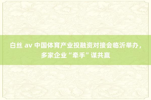 白丝 av 中国体育产业投融资对接会临沂举办，多家企业“牵手”谋共赢