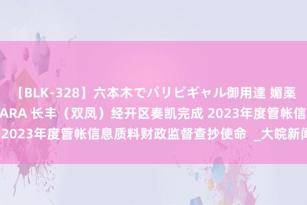 【BLK-328】六本木でパリピギャル御用達 媚薬悶絶オイルマッサージ SARA 长丰（双凤）经开区奏凯完成 2023年度管帐信息质料财政监督查抄使命  _大皖新闻 | 安徽网