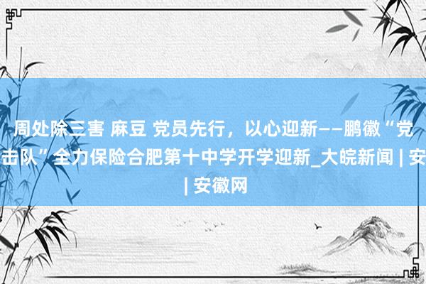 周处除三害 麻豆 党员先行，以心迎新——鹏徽“党员突击队”全力保险合肥第十中学开学迎新_大皖新闻 | 安徽网